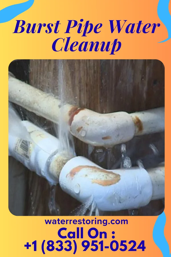Burst Pipe Water Cleanup in Hudson Lake, IN
